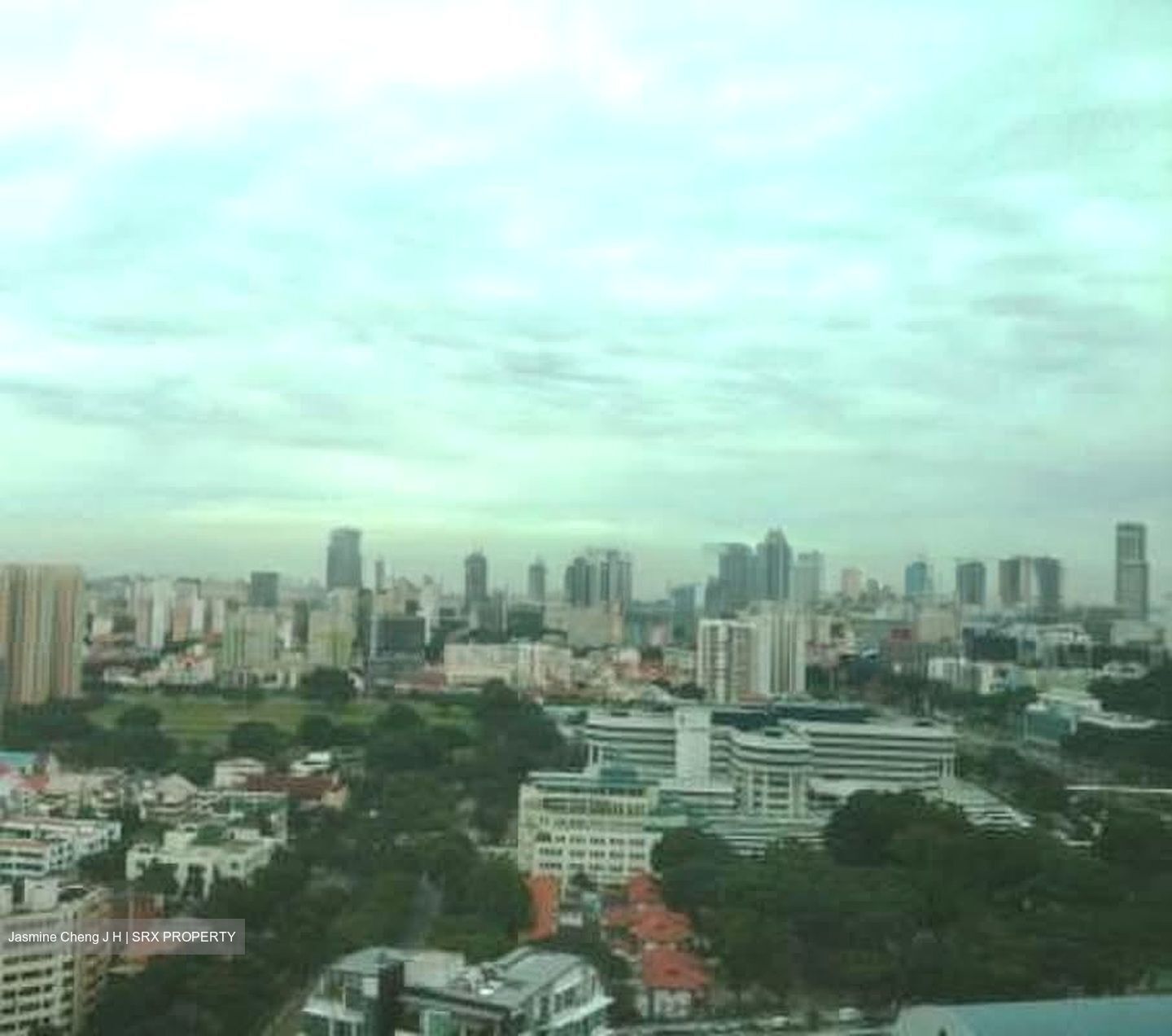 Park Infinia At Wee Nam (D11), Condominium #593611971